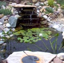 Salt Lake City Ponds and Waterfalls