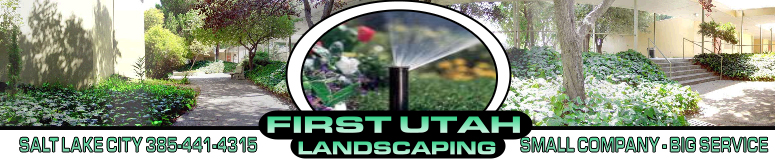 Salt Lake City Lawn Sprinkler Installation